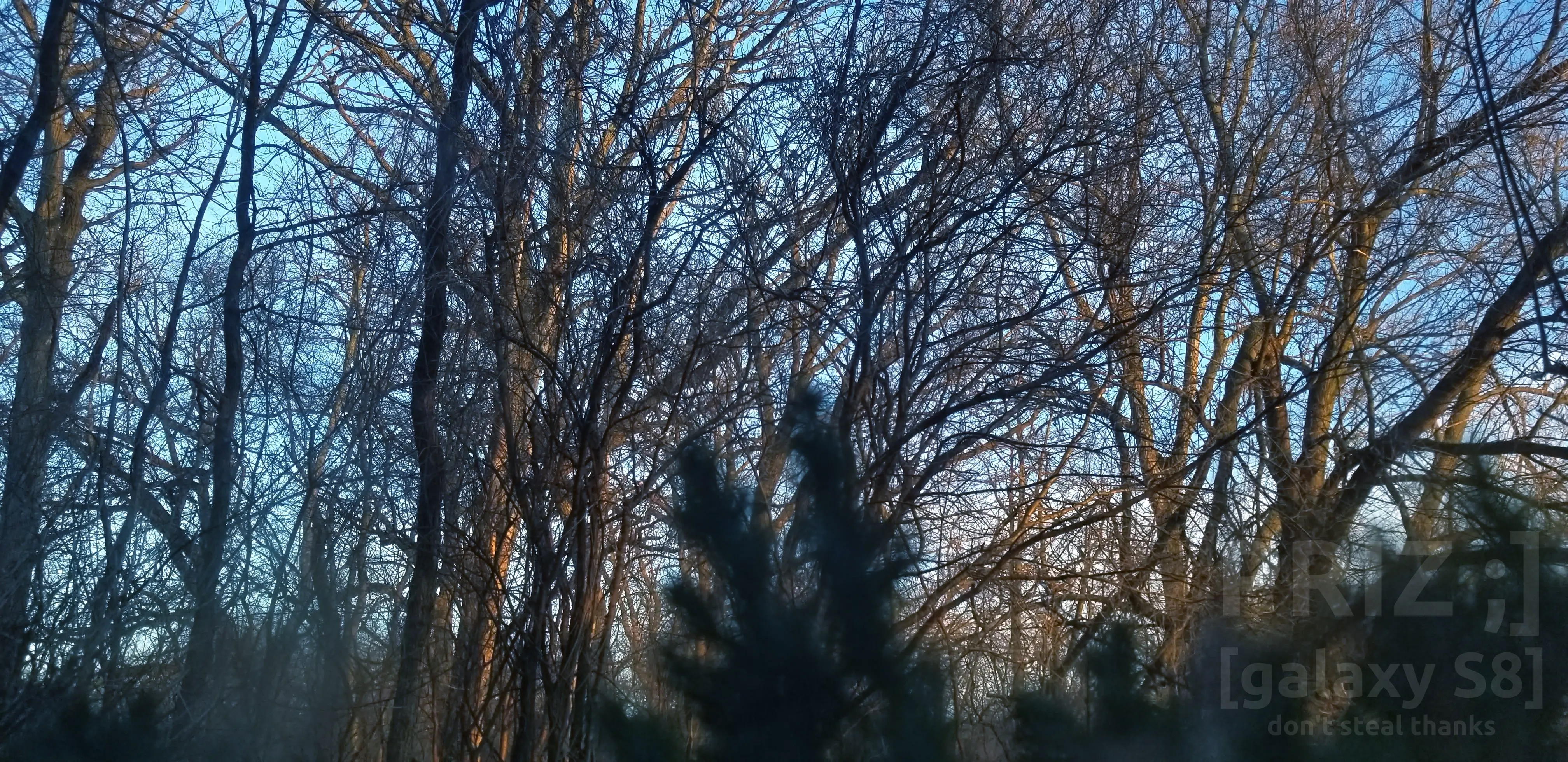 unblurred-night.webp unblurred-night.webp